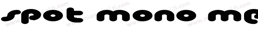 Spot Mono Medium Regular字体转换